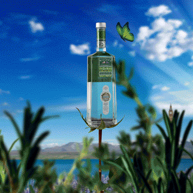 Martin Miller's Gin social media